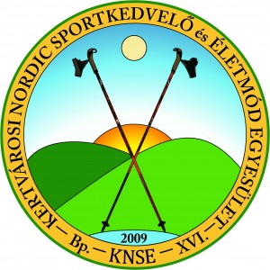 KNSE logokicsi